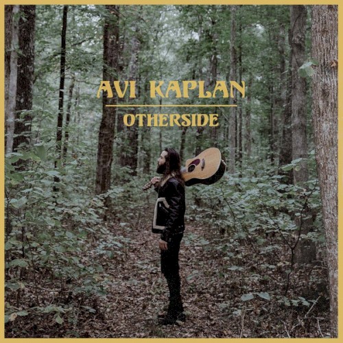 Avi Kaplan