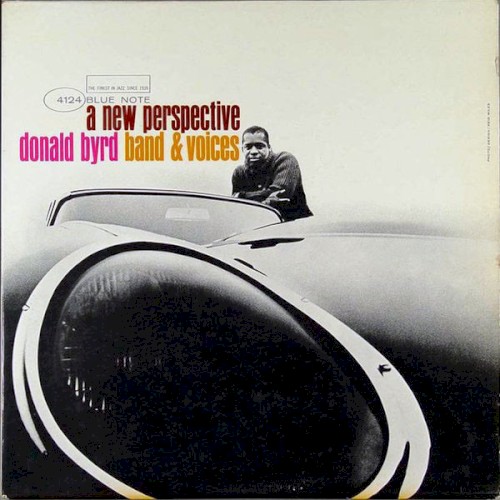 Portada de A New Perspective