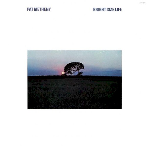 Pat Metheny
