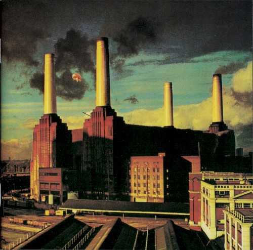 Portada de Animals