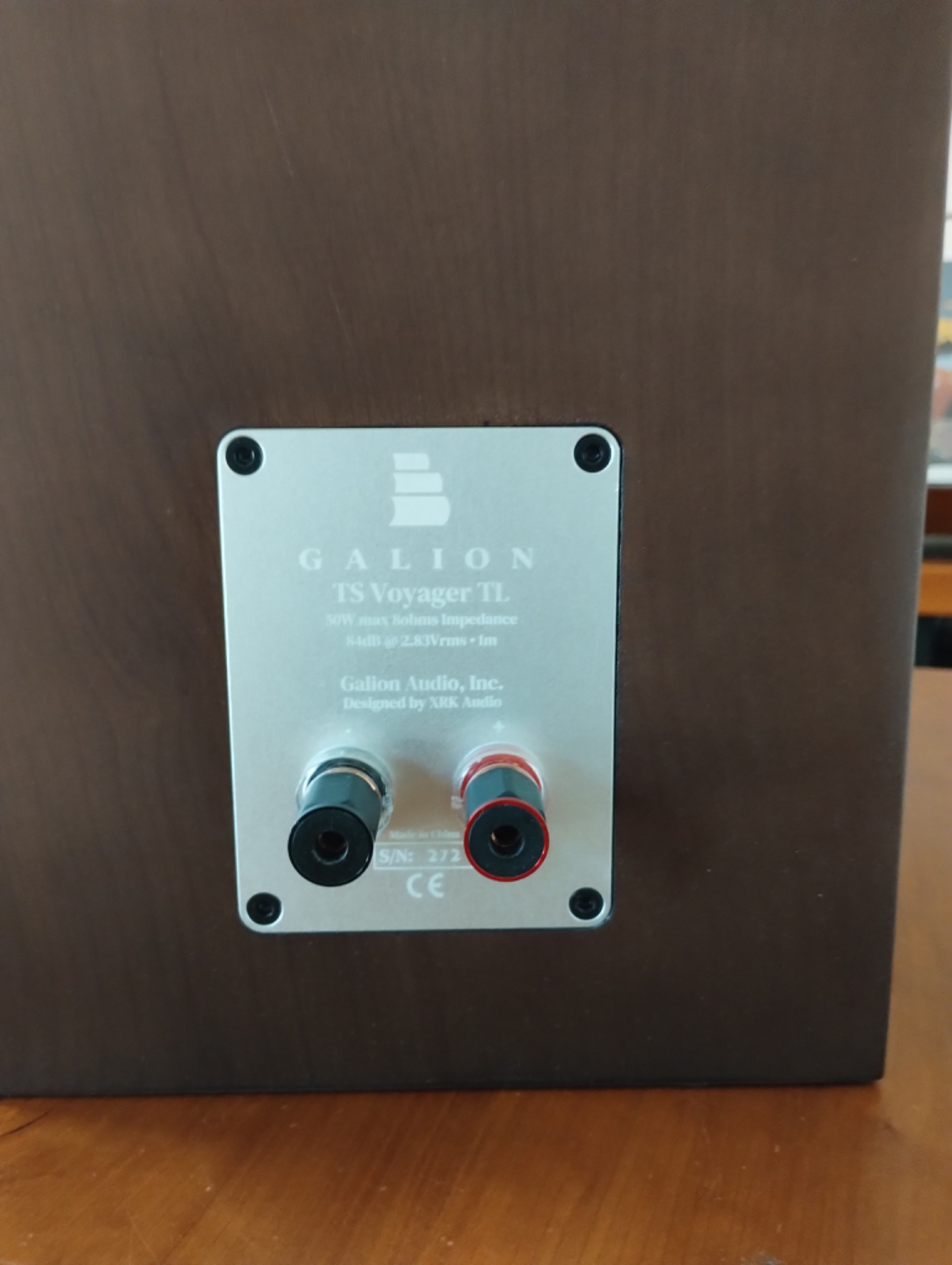 Galion Audio TS Voyager TL – Altavoces Hi-Fi de línea de transmisión (Estado impecable) - imagen 2