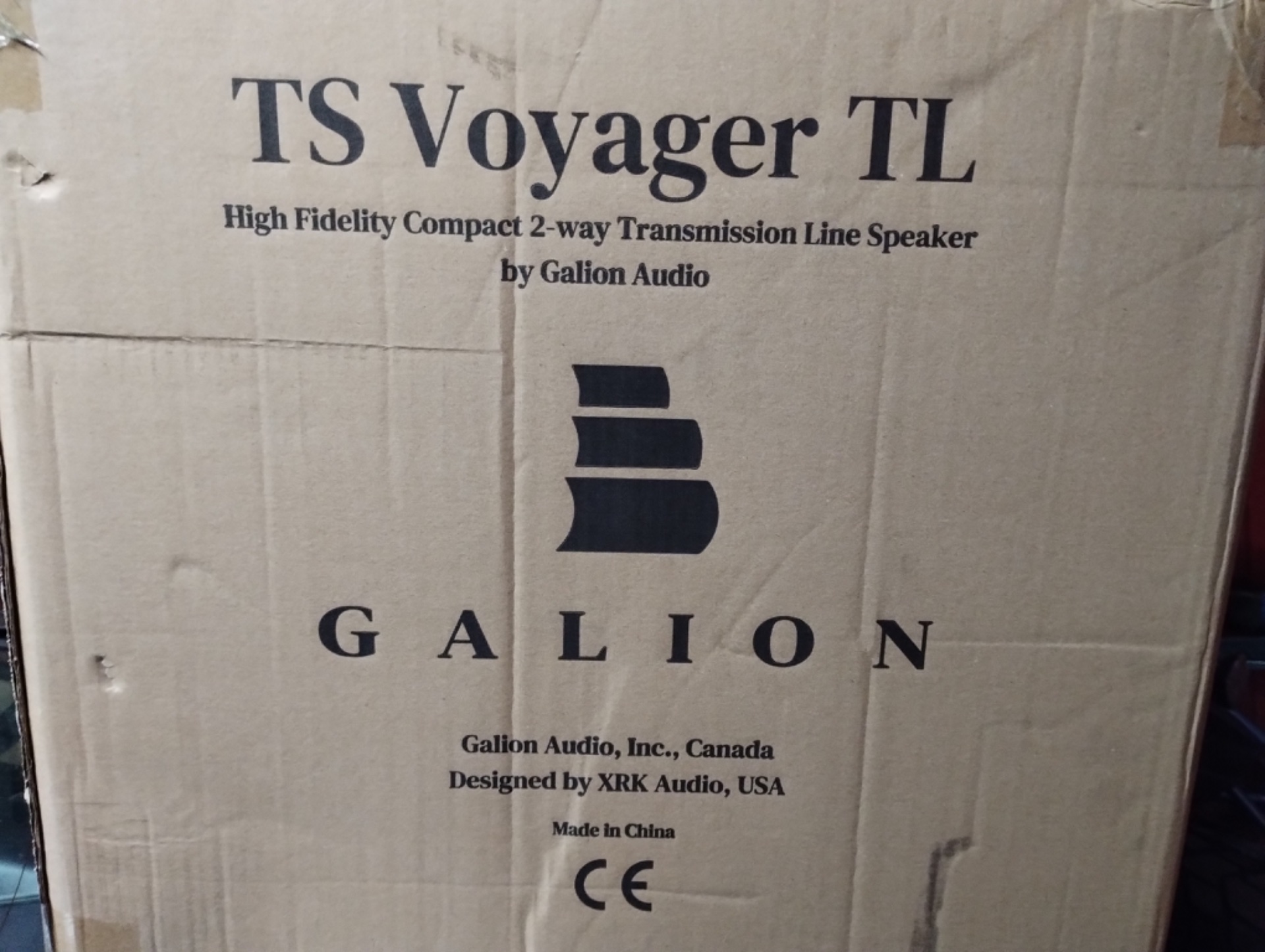 Galion Audio TS Voyager TL – Altavoces Hi-Fi de línea de transmisión (Estado impecable) - imagen 6