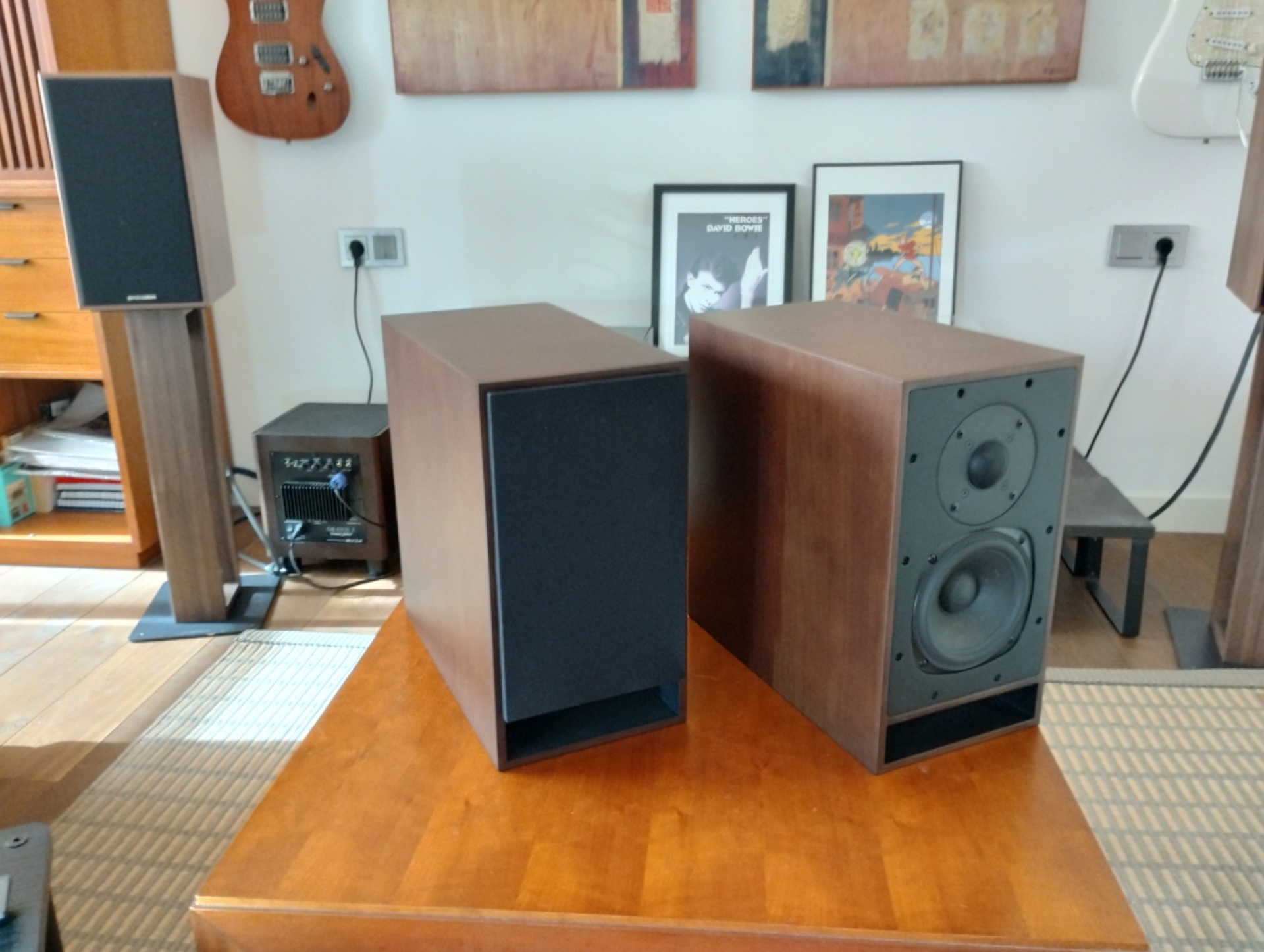 Galion Audio TS Voyager TL – Altavoces Hi-Fi de línea de transmisión (Estado impecable) - imagen 5