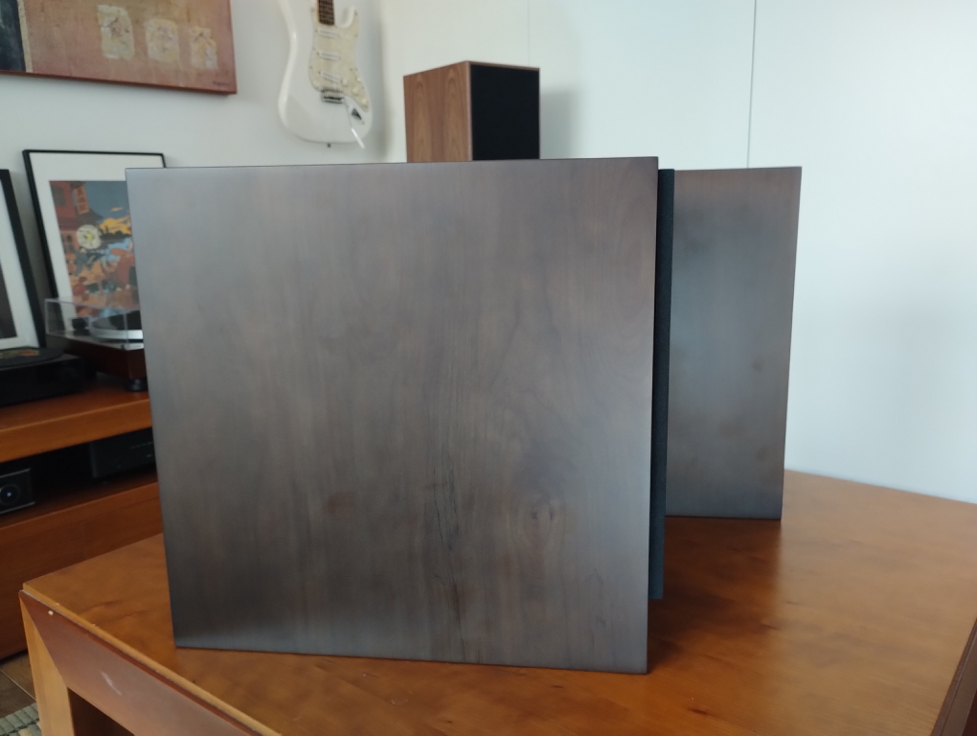 Galion Audio TS Voyager TL – Altavoces Hi-Fi de línea de transmisión (Estado impecable) - imagen 4