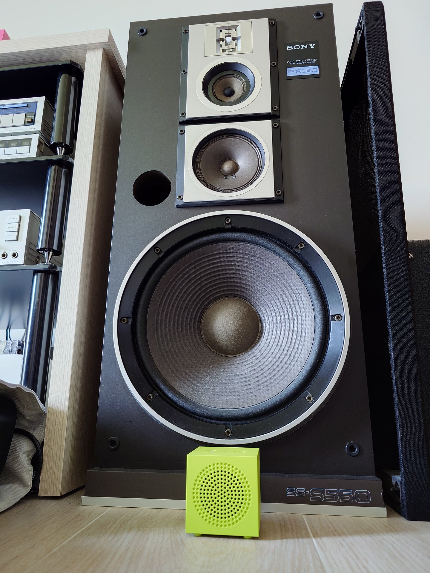 Sony SS-S550