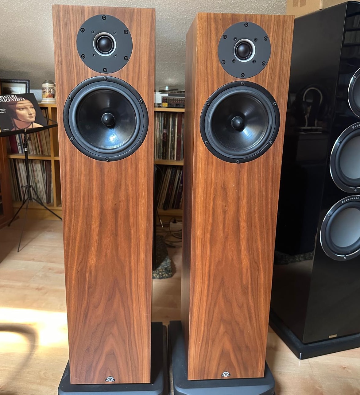 ALTAVOCES KUDOS CARDEAS C20