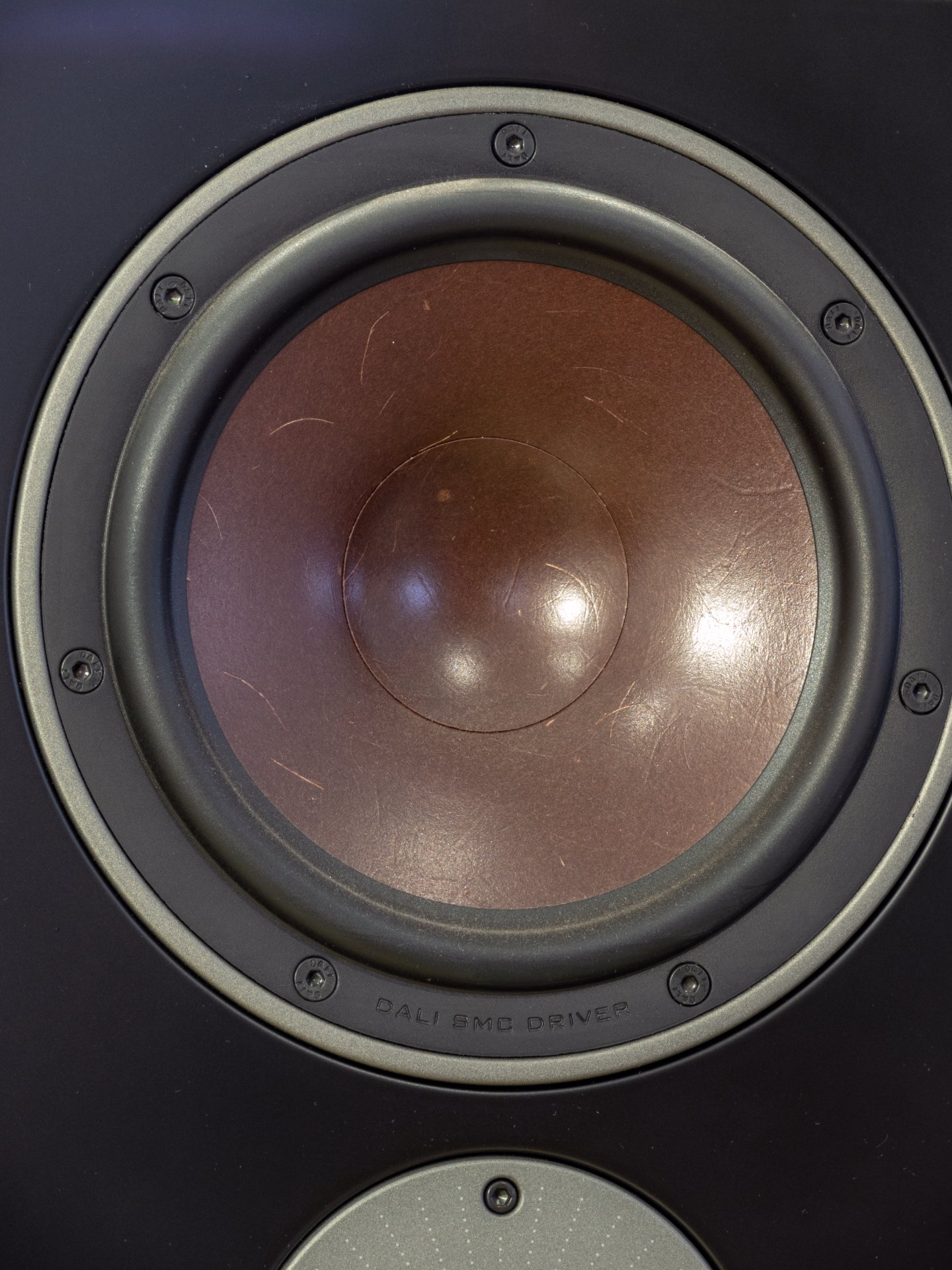 ALTAVOCES DALI OBERON 9 - imagen 8