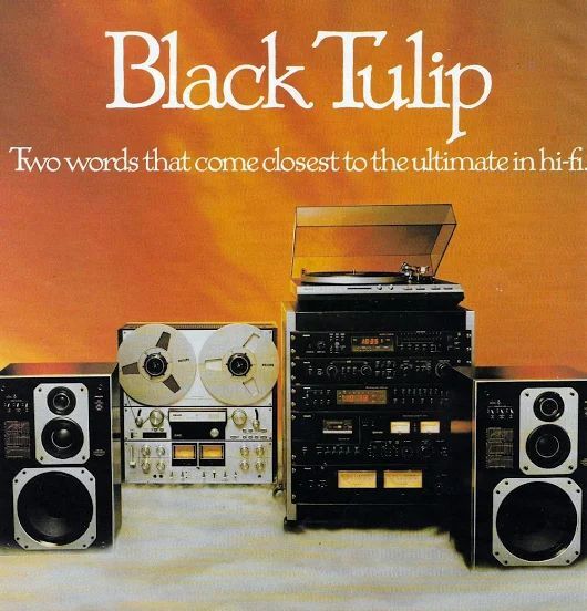 EQUIPO PHILIPS BLACK TILIP