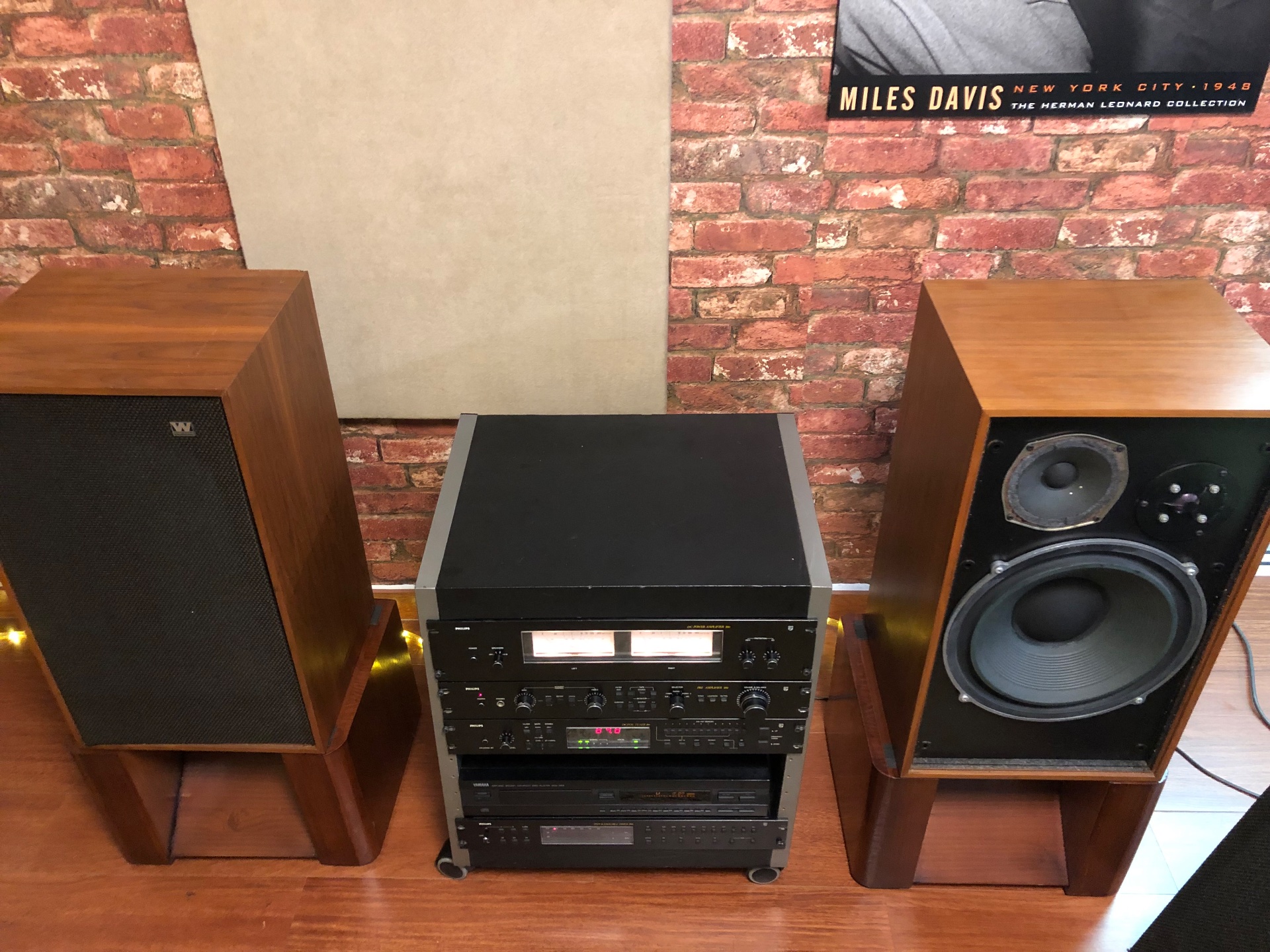 EQUIPO PHILIPS BLACK TILIP - imagen 2