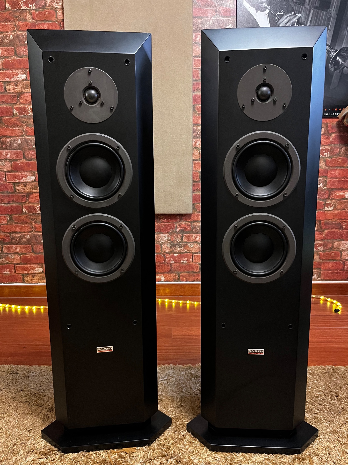 DYNAUDIO FACETTE
