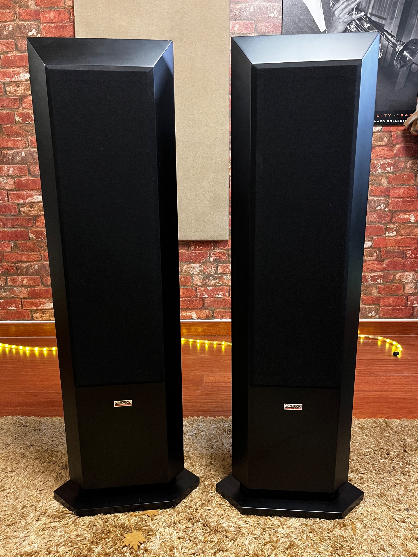 DYNAUDIO FACETTE - imagen 2