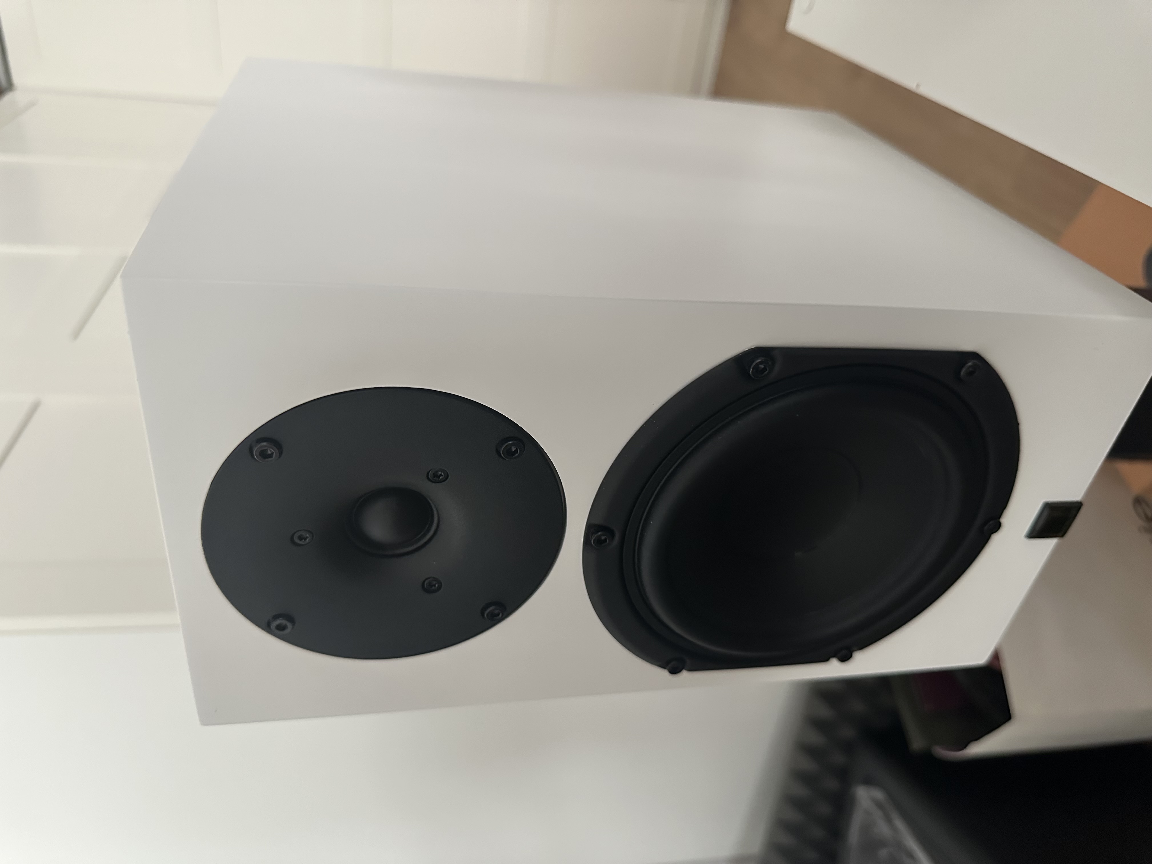 Altavoces surround back
