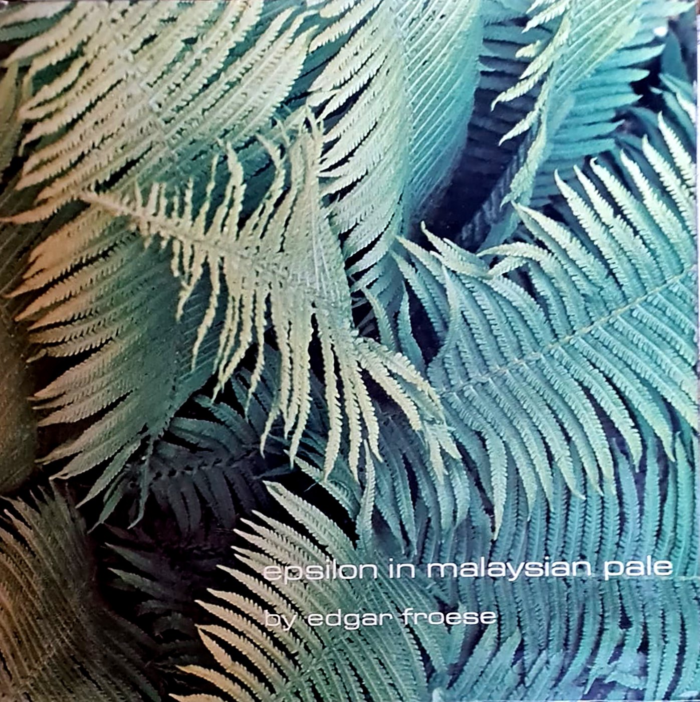 Edgar Froese — Epsilon in Malaysian Pale
