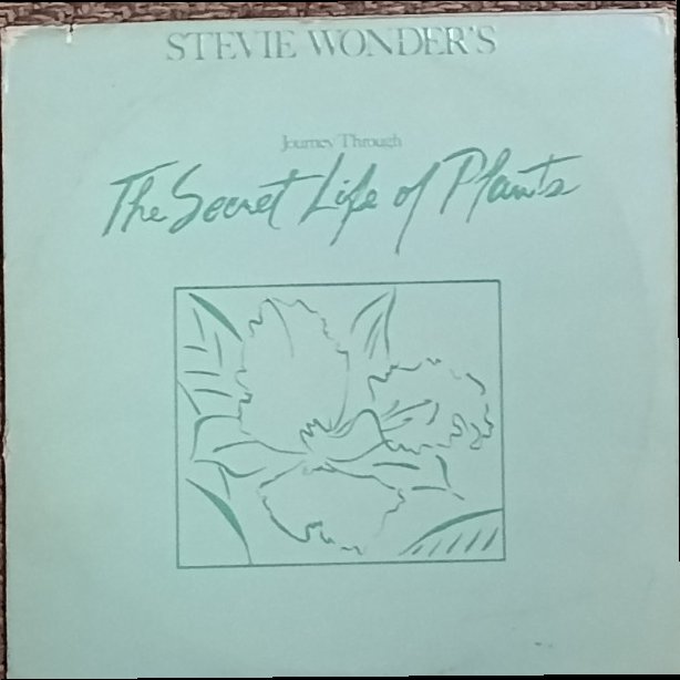 Stevie Wonder — Journey Through The Secret Life of Plants