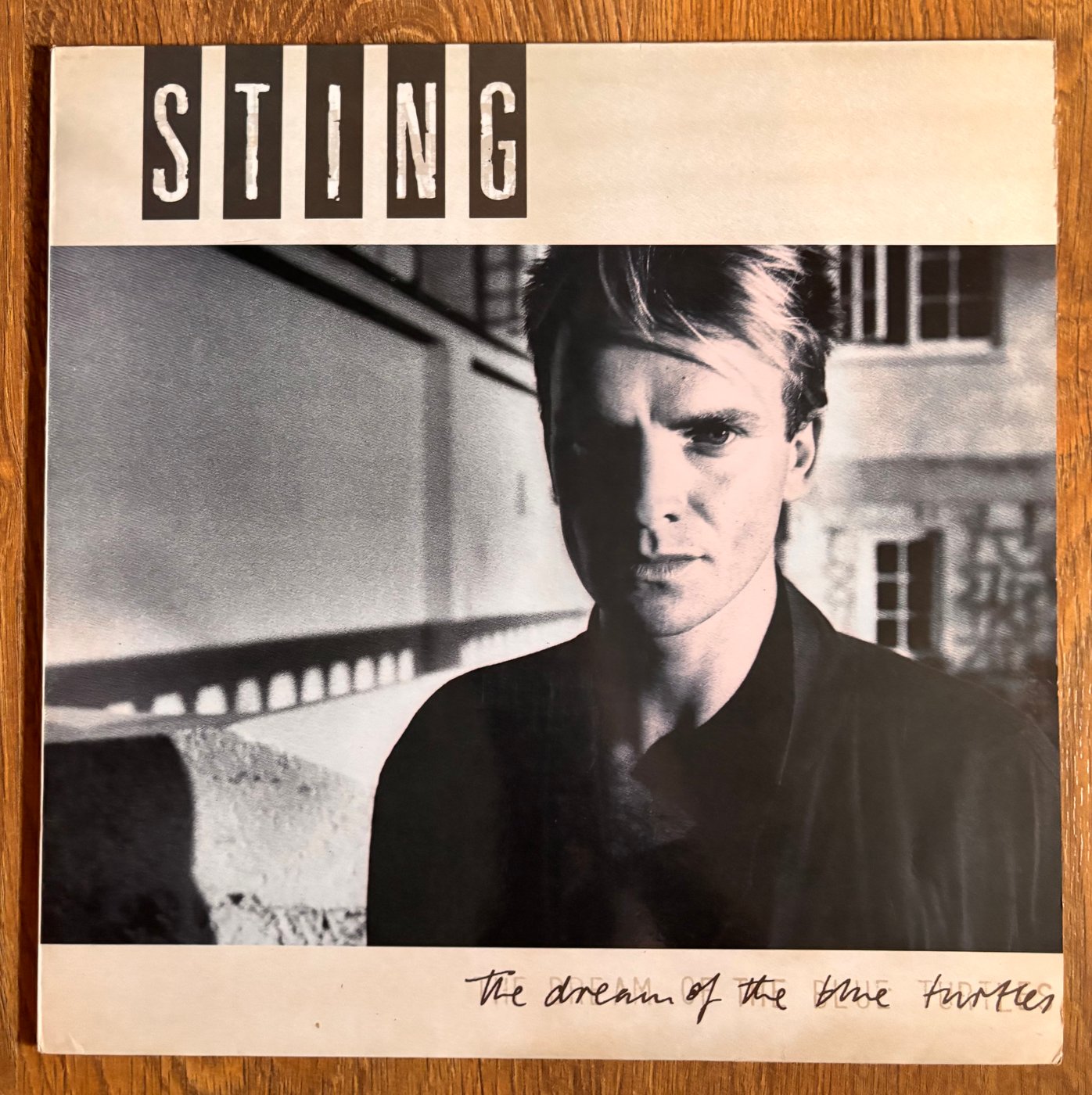 Sting — The Dream Of The Blue Turtles
