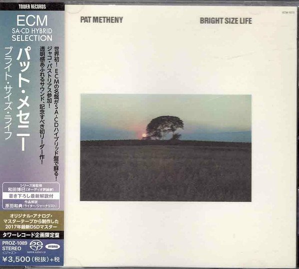 Pat Metheny — Bright Size Life