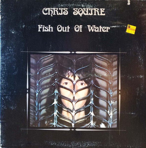Chris Squire — Fish Out Of Water